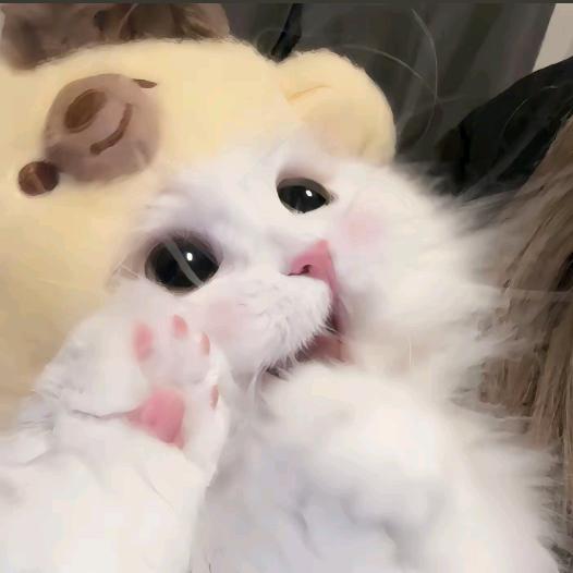 小困包