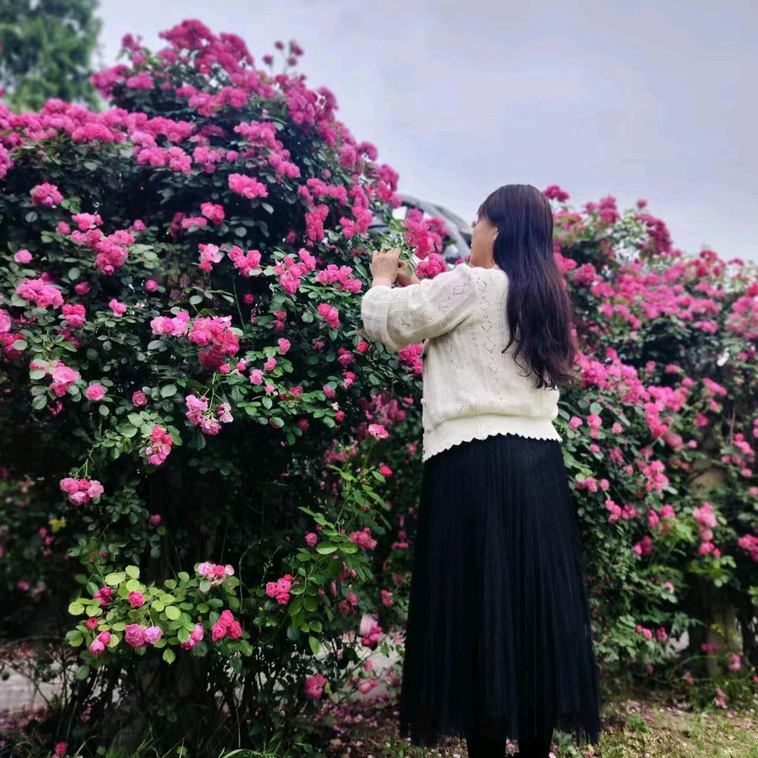 美晨