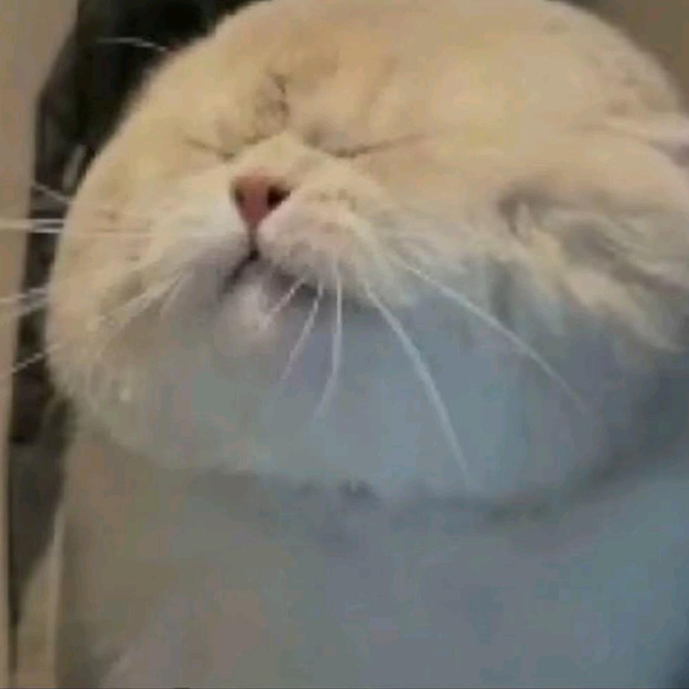 嘻嘻头像