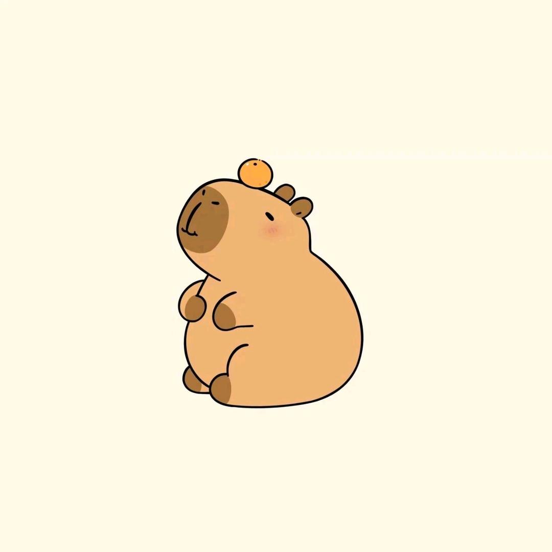 🔅香柠绿