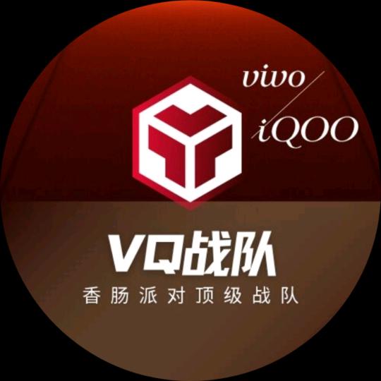 ⅤQ.能二