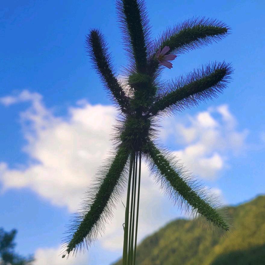 一杯清酒當人生