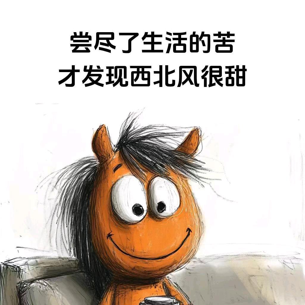 🍀@浪迹天涯小众车友🍀（博主V）