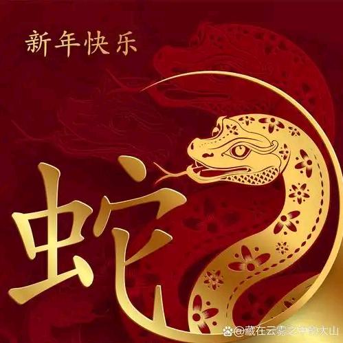 ✈贺元甲(津门第一)