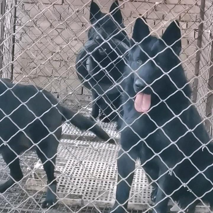 人生如梦