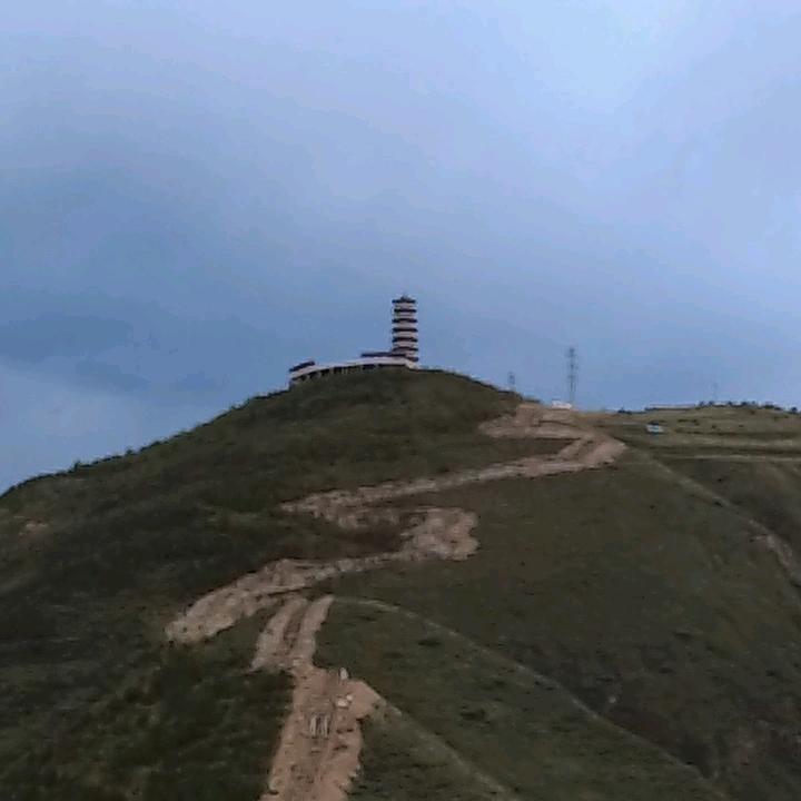 失心疯