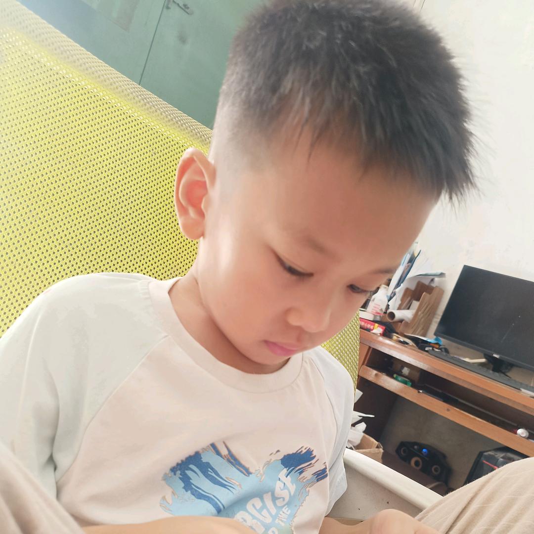 小杨~
