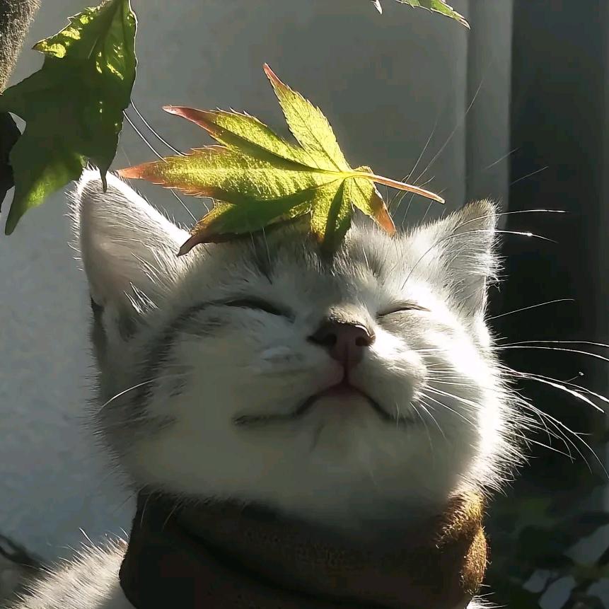 突然的自我