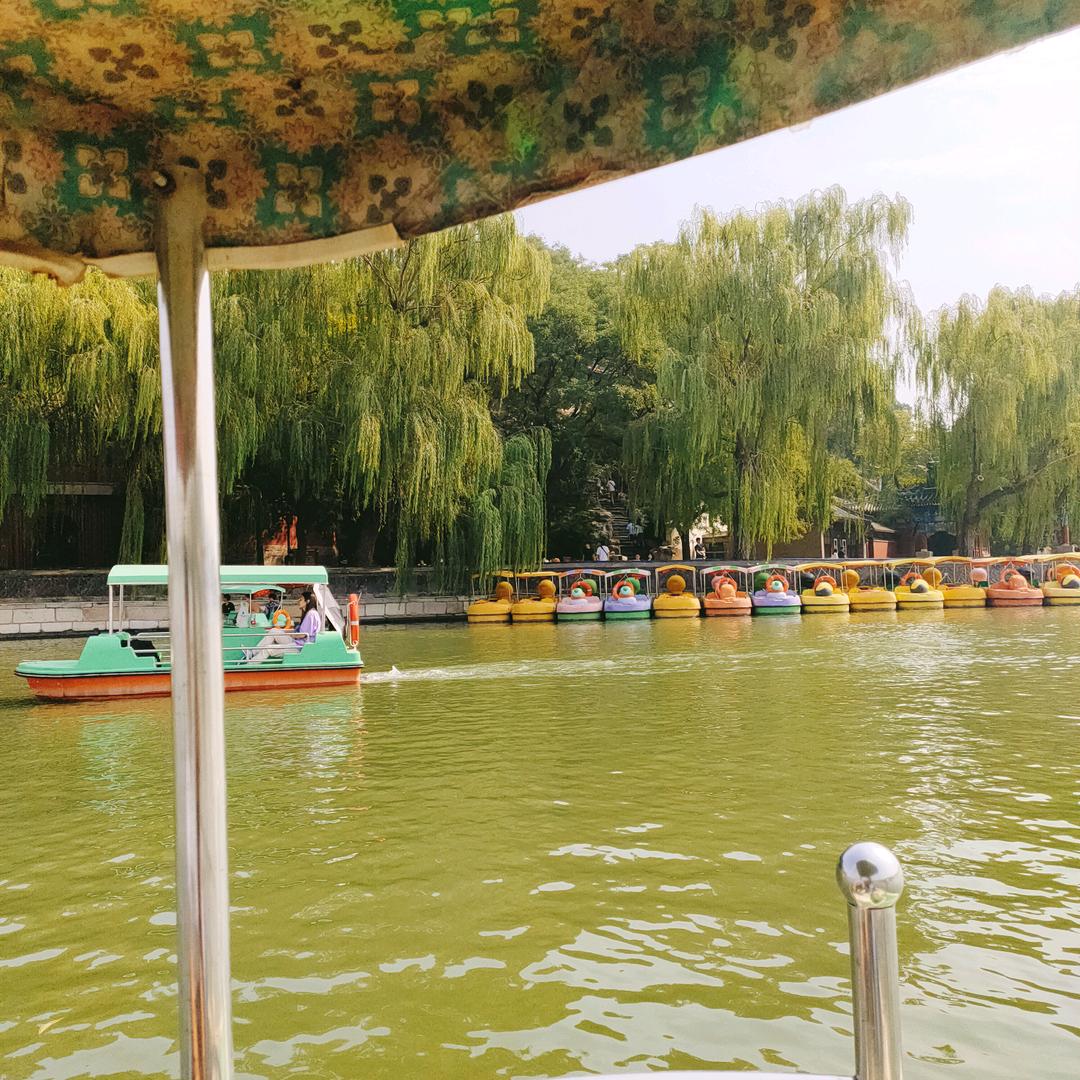 旭日东升🌞