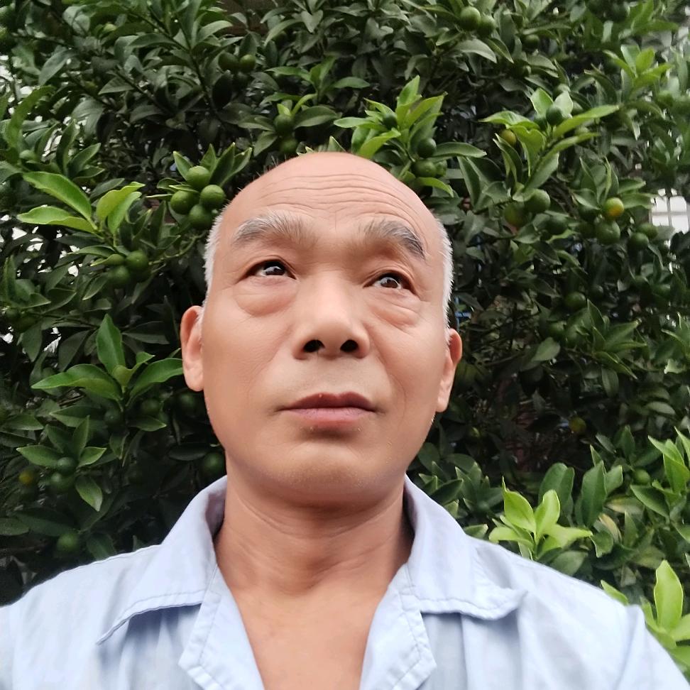 漂泊