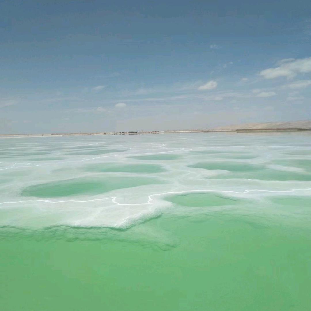 青海旅游张师傅