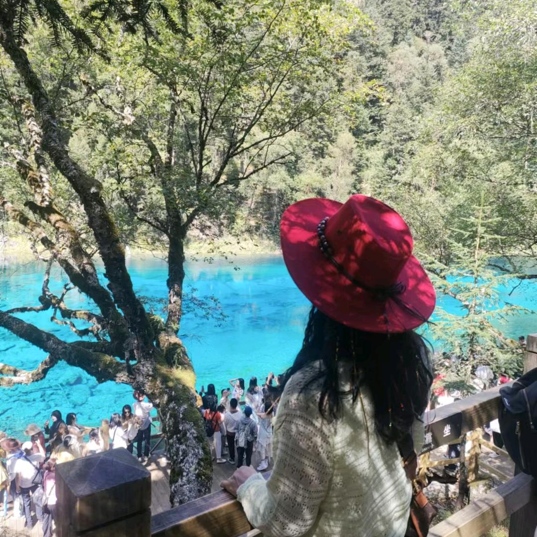 我是芮芮