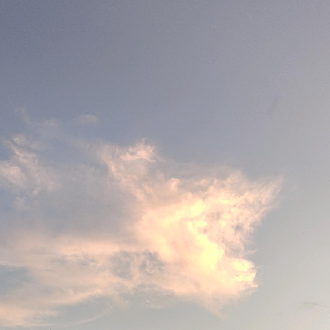 风小星