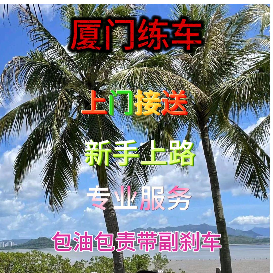汽车陪练林林林
