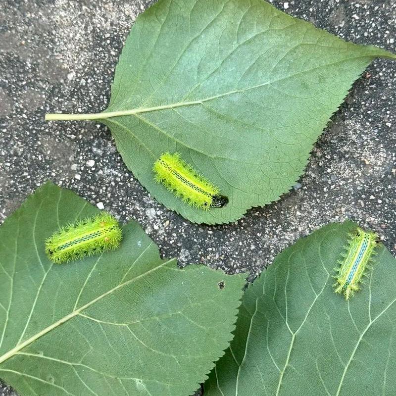 九州精酿啤酒龙华店