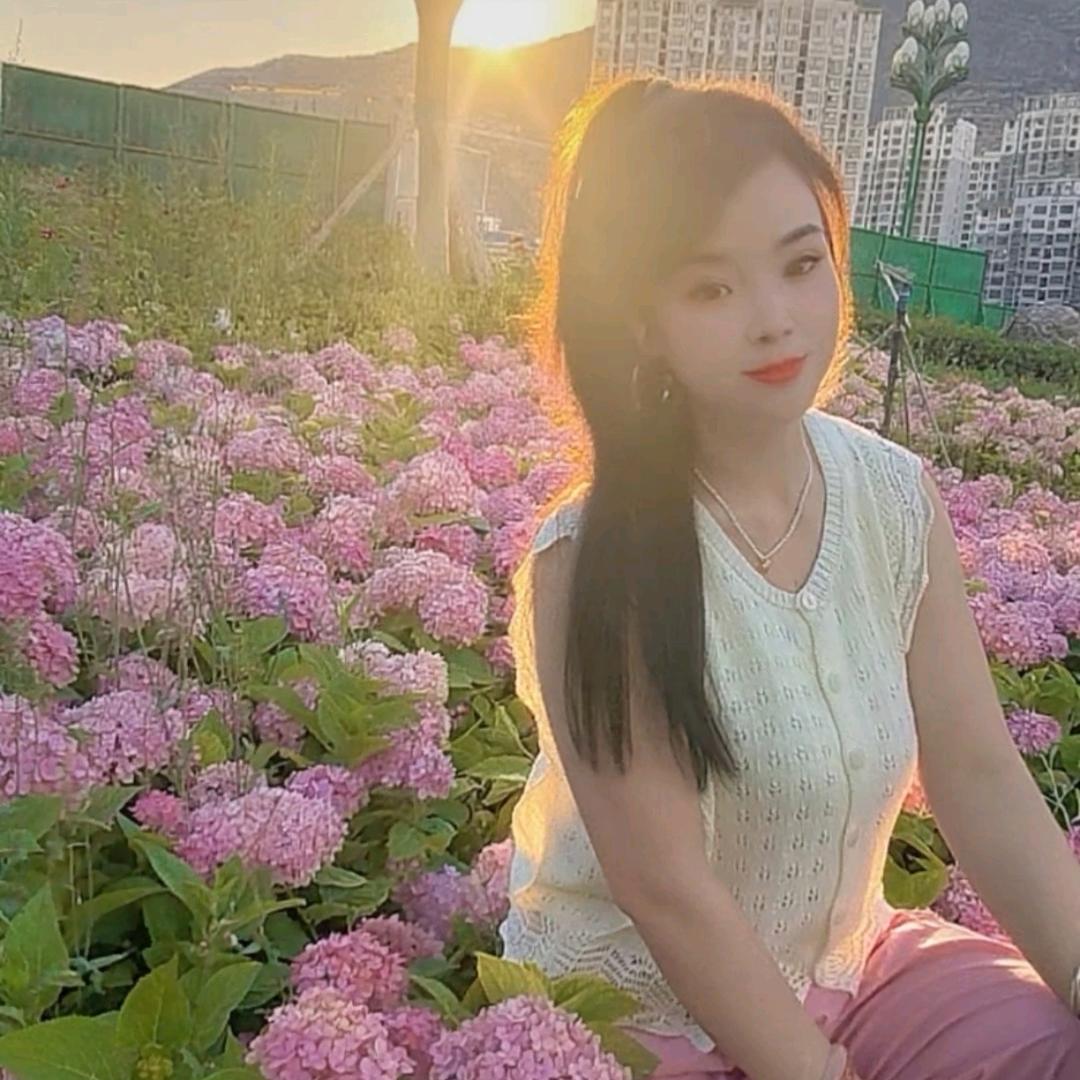 Xin.       王