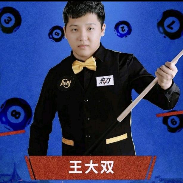 台球王大双教学器材培训