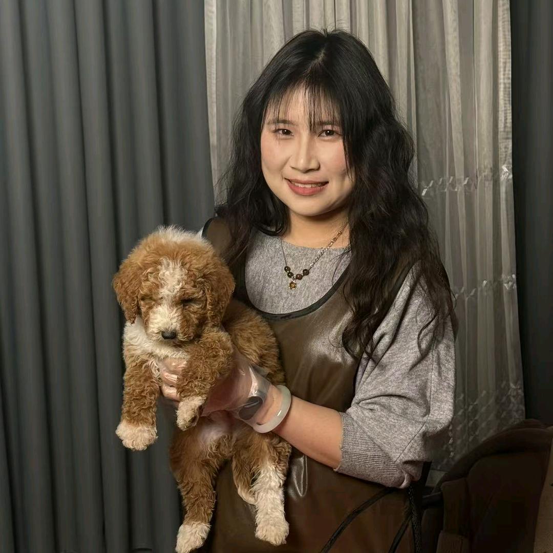 琦琦小助理