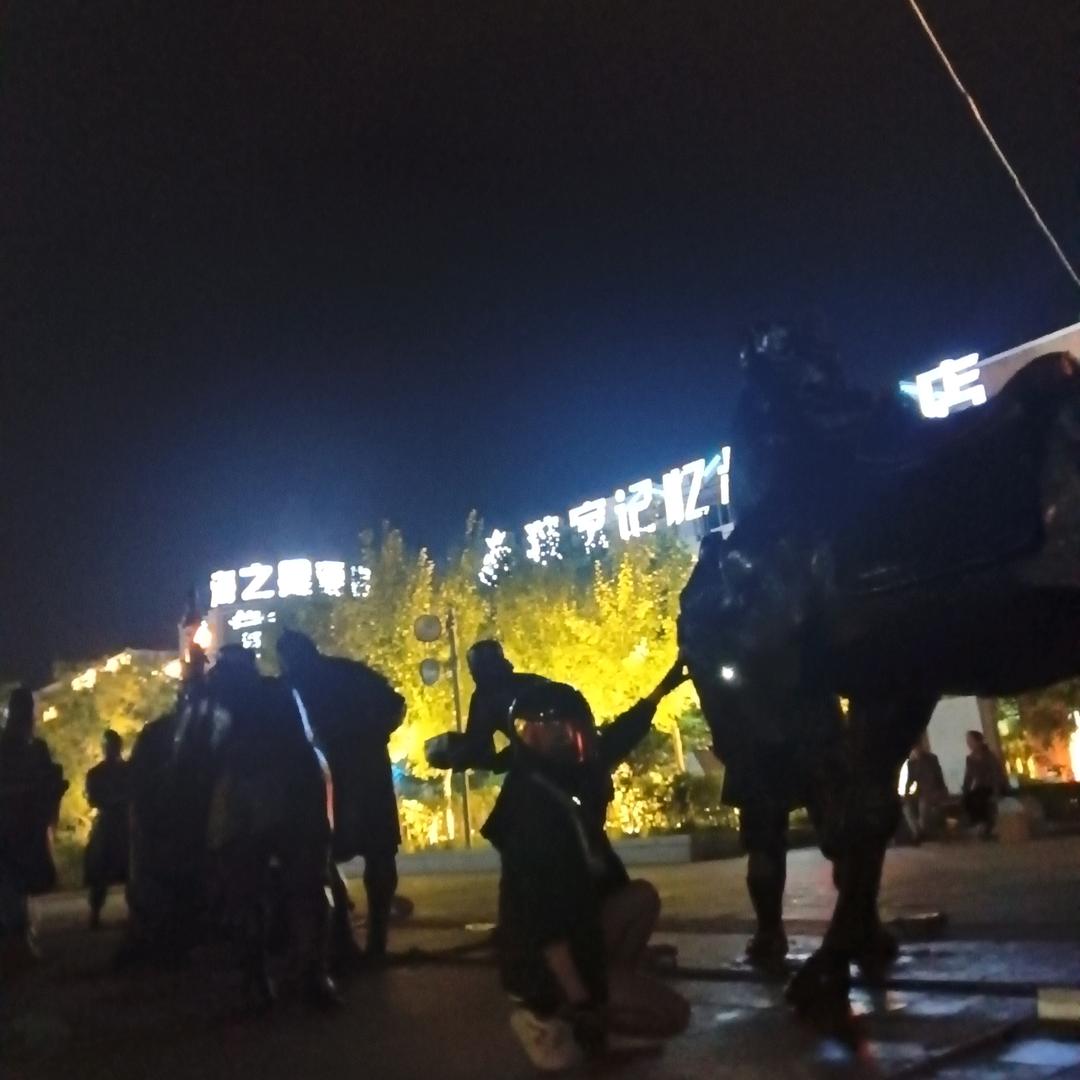 佩奇、