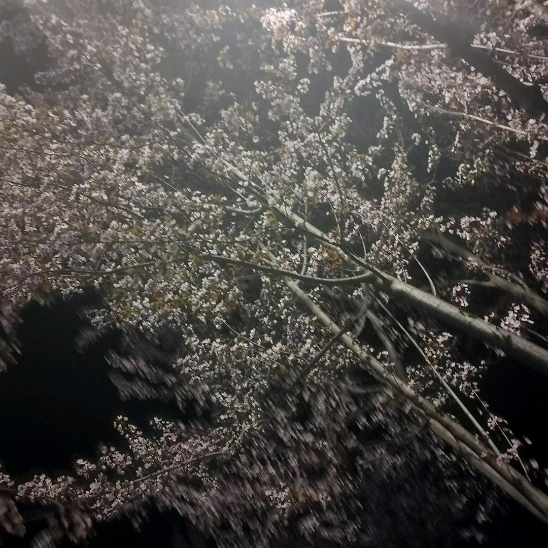 天生不服