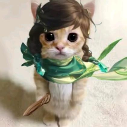 高贵猫猫侠