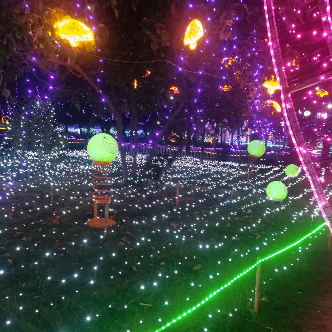 顺风顺水