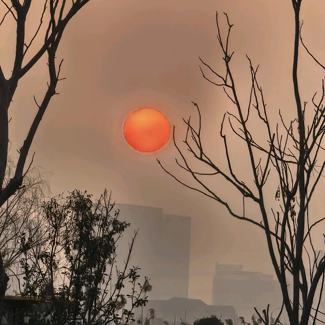 贫僧法号乱来