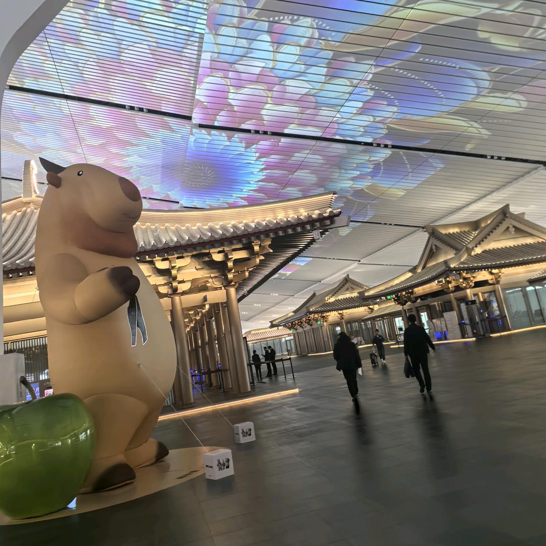 往事如烟8571🐴