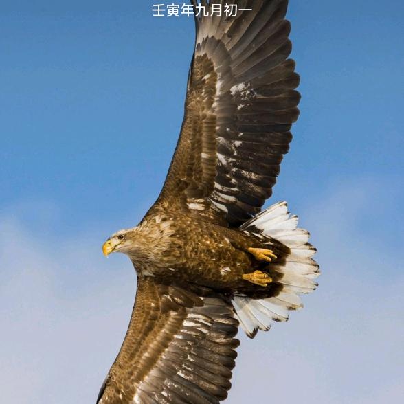 天雷..