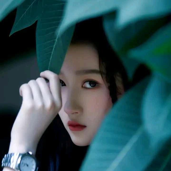 一抹阳光🌺🌺