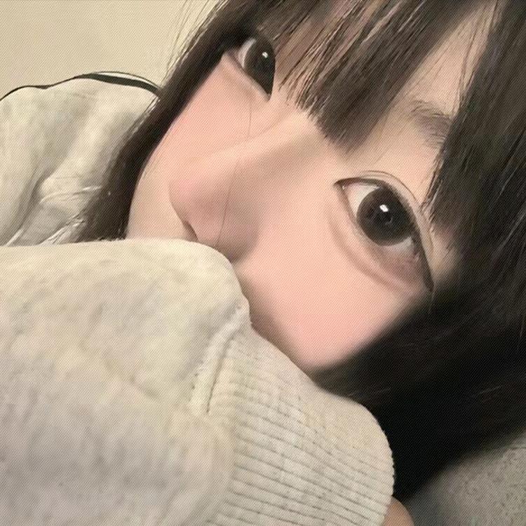 布丁猫-