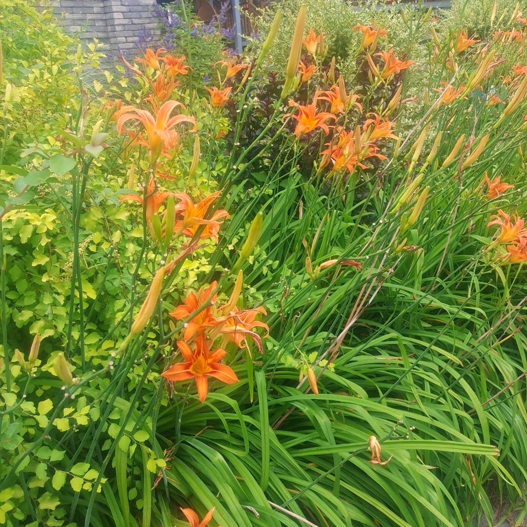 正好好宝贝