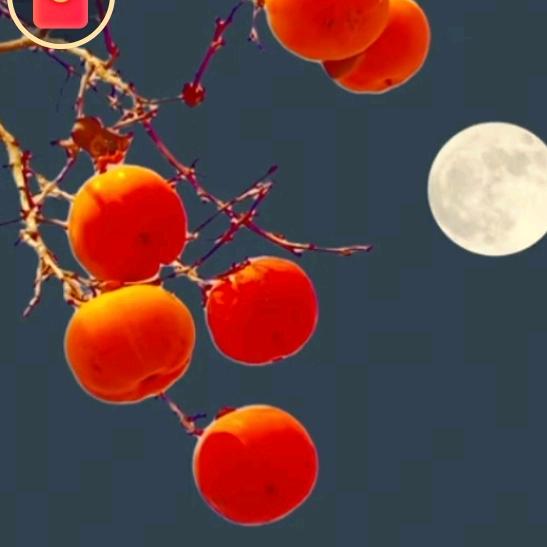 清风伴我闯天涯