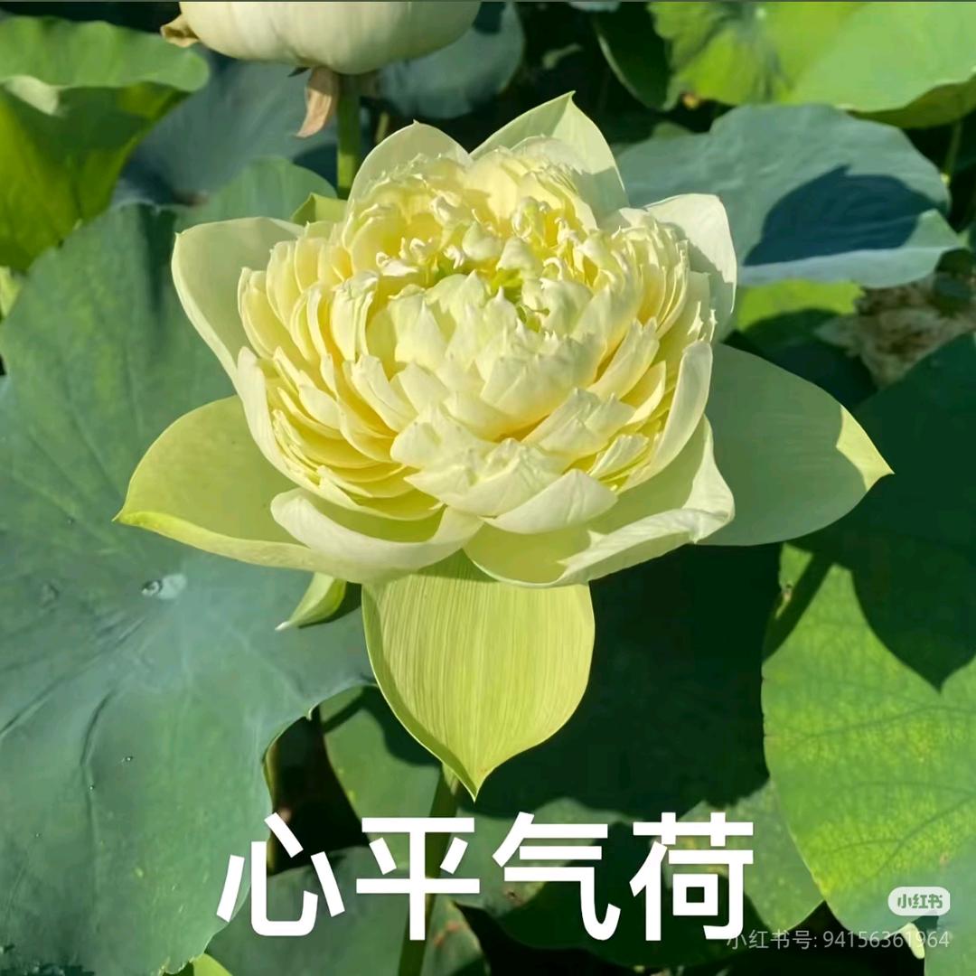 十点差三分