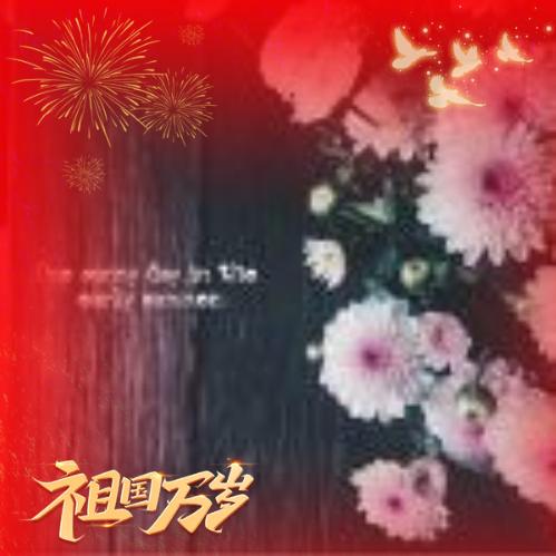四叶草🍀