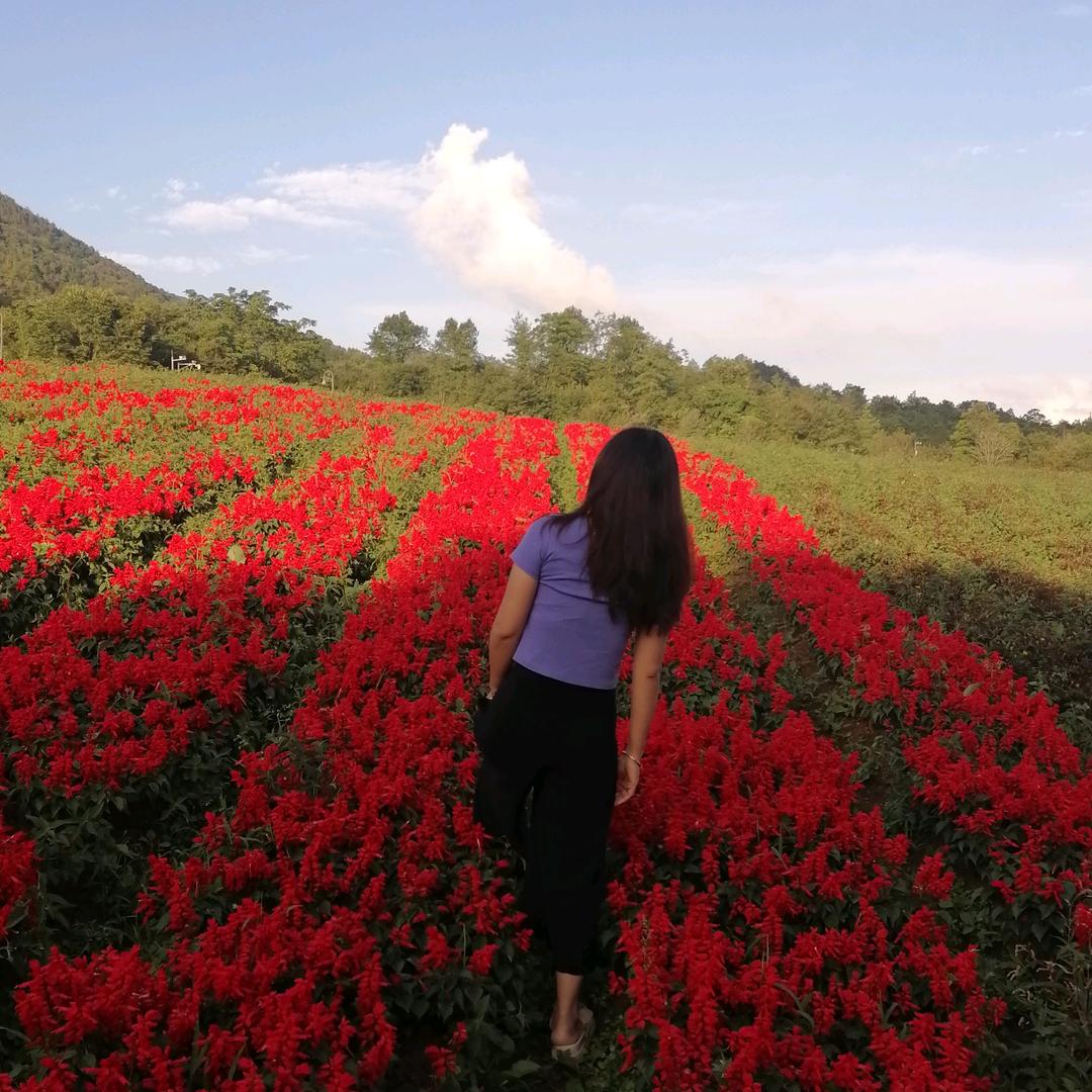 ^O^糊涂虫☞😄狮乐队