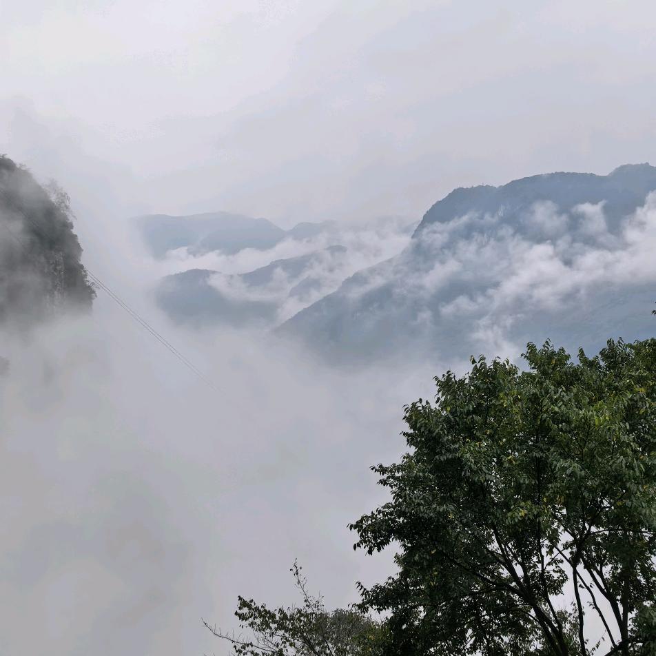 BIG   SHAKE黄油芝士炸鸡官方号