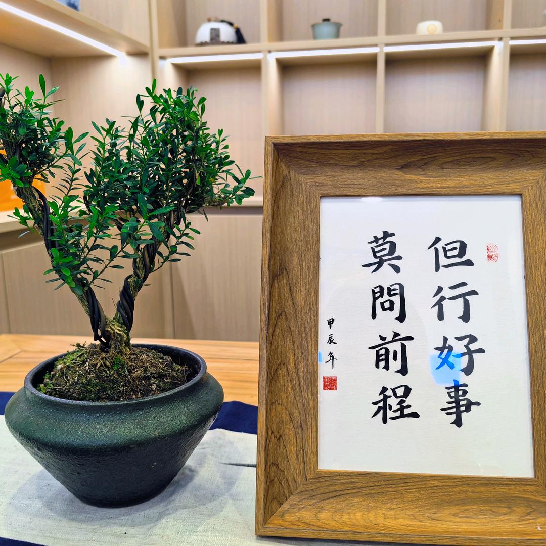 头道汤养生馆