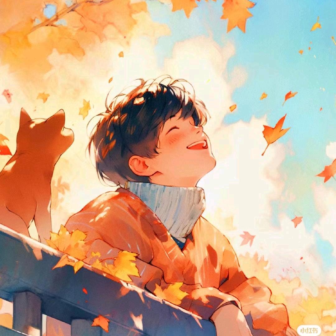 江晚玩机