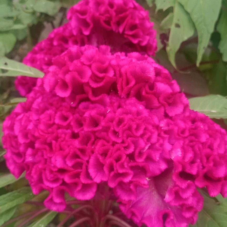 缘分让我遇到了你