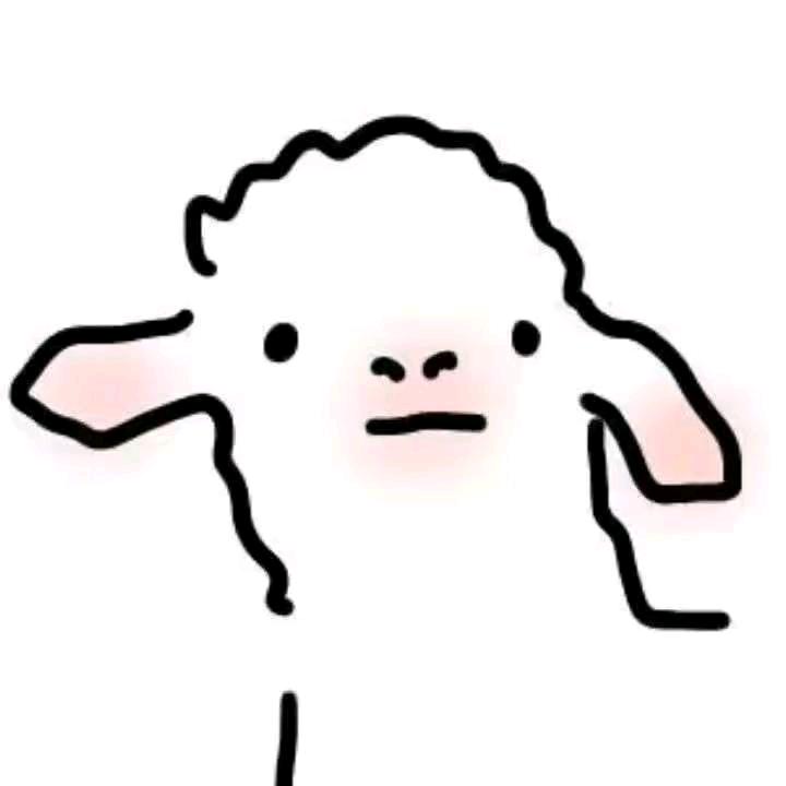 轻书