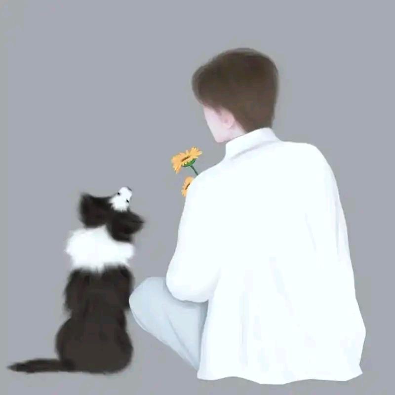 浪子无痕