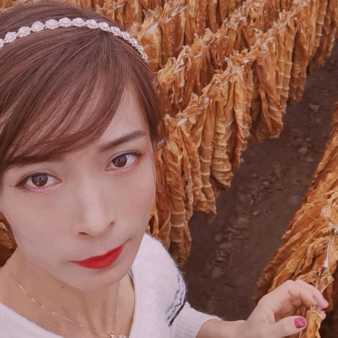 夹皮沟旱烟种植李霞