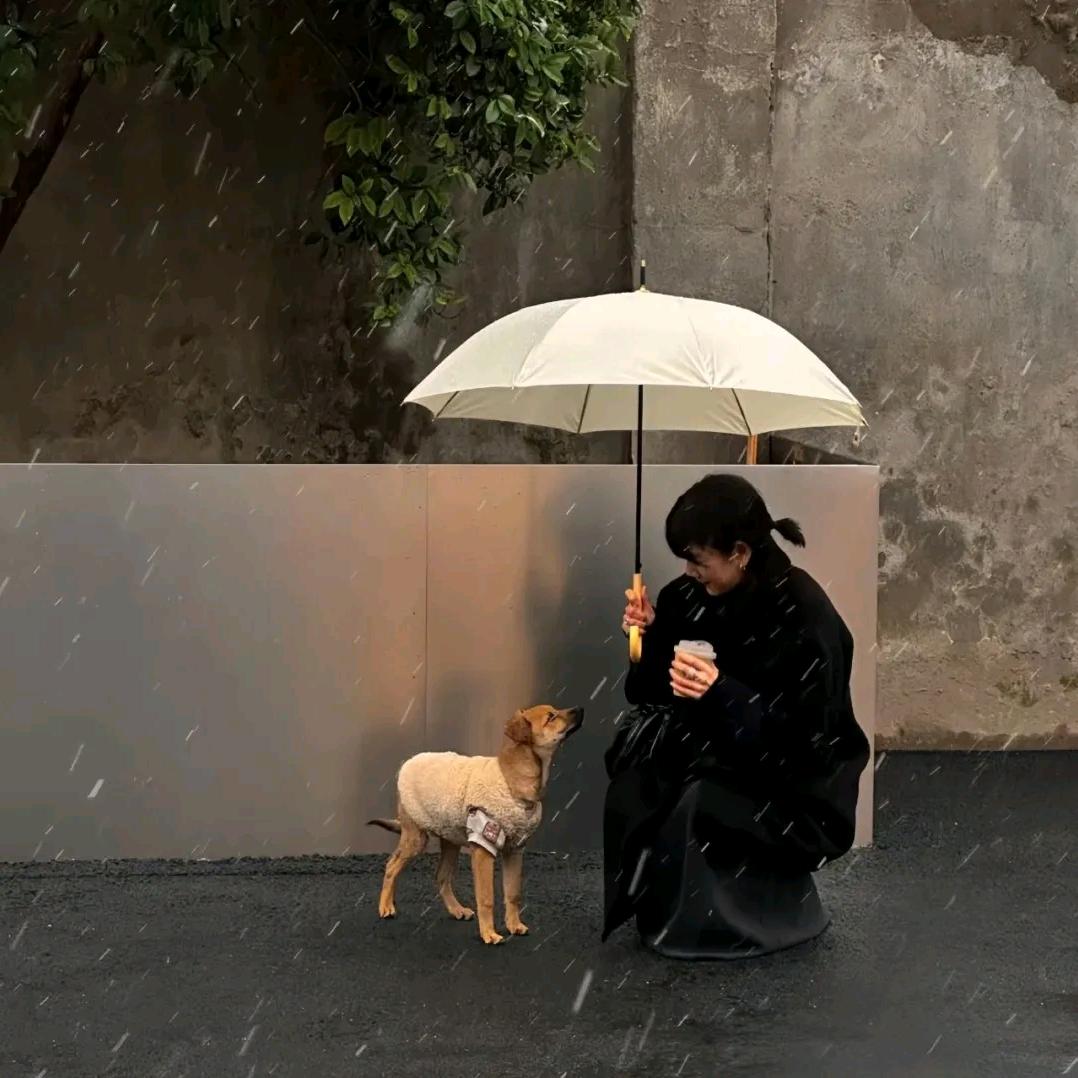 妮妮ing ˗ˋˏᰔᩚˎˊ˗