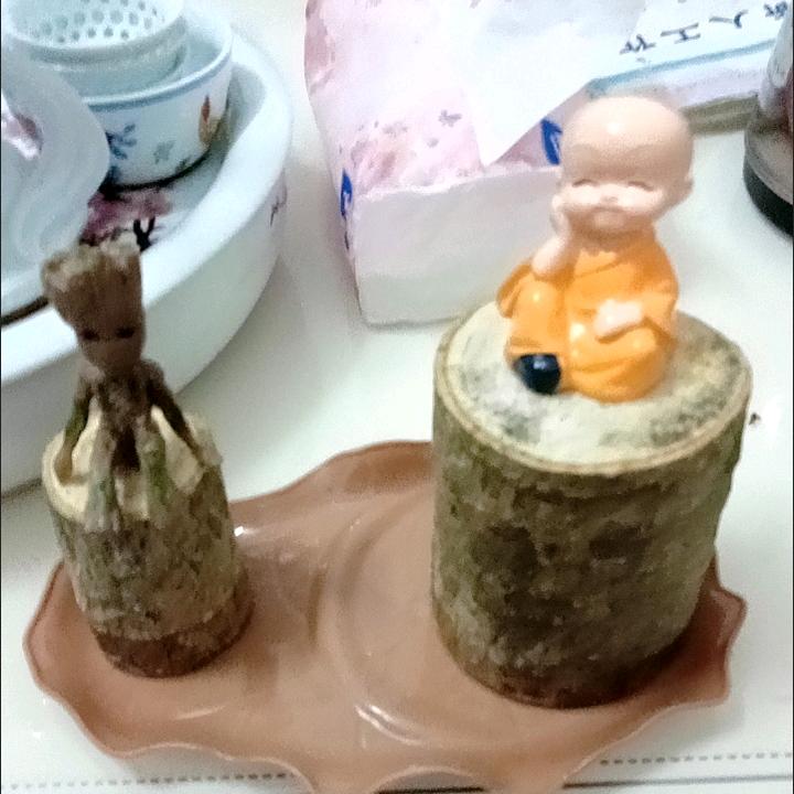 爱养马犬的夏哥