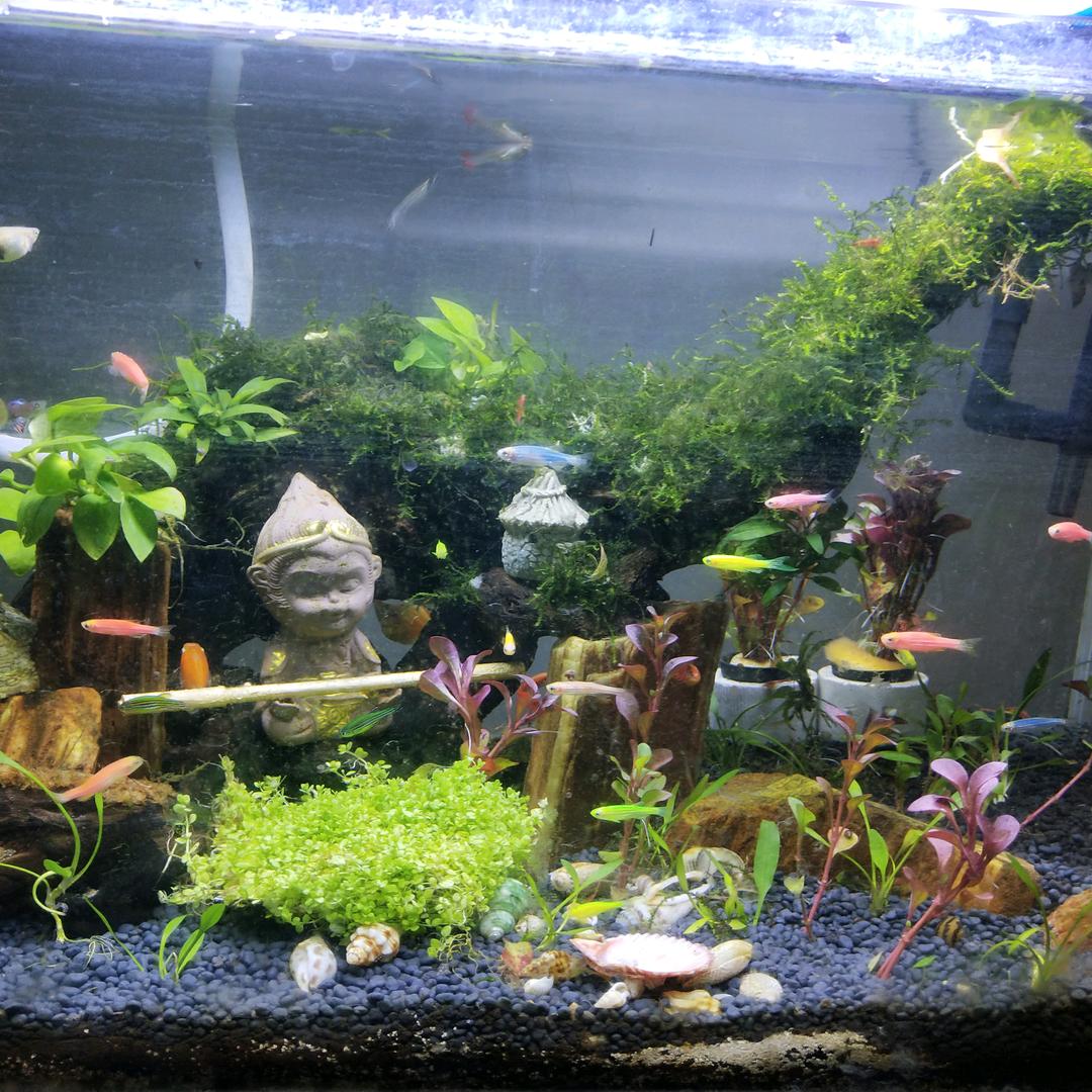 🐏觅斯特务🥁