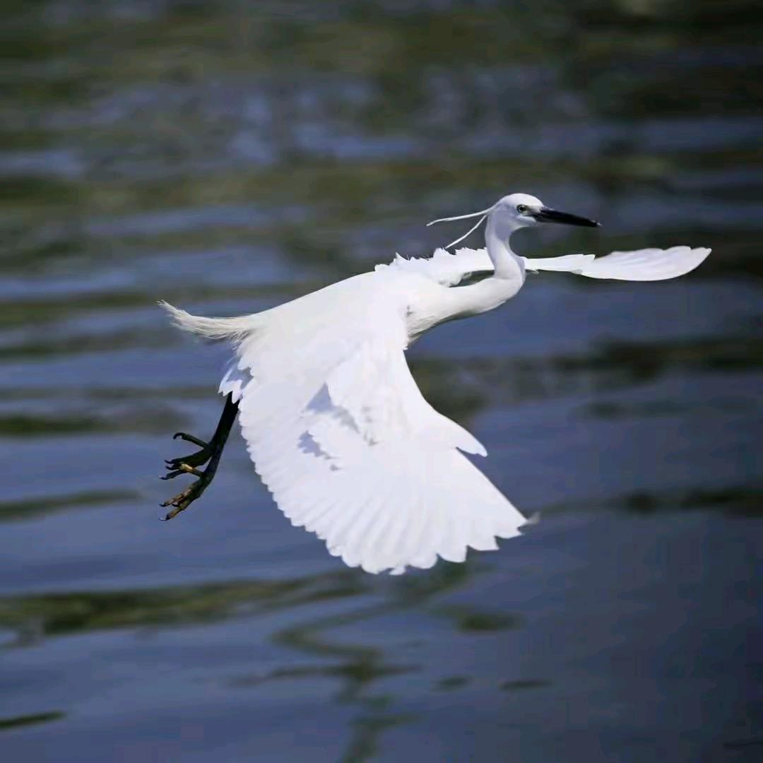 ໑ຼₒ₂5ღ᭄知足常乐 🕊꧔ꦿ᭄💞