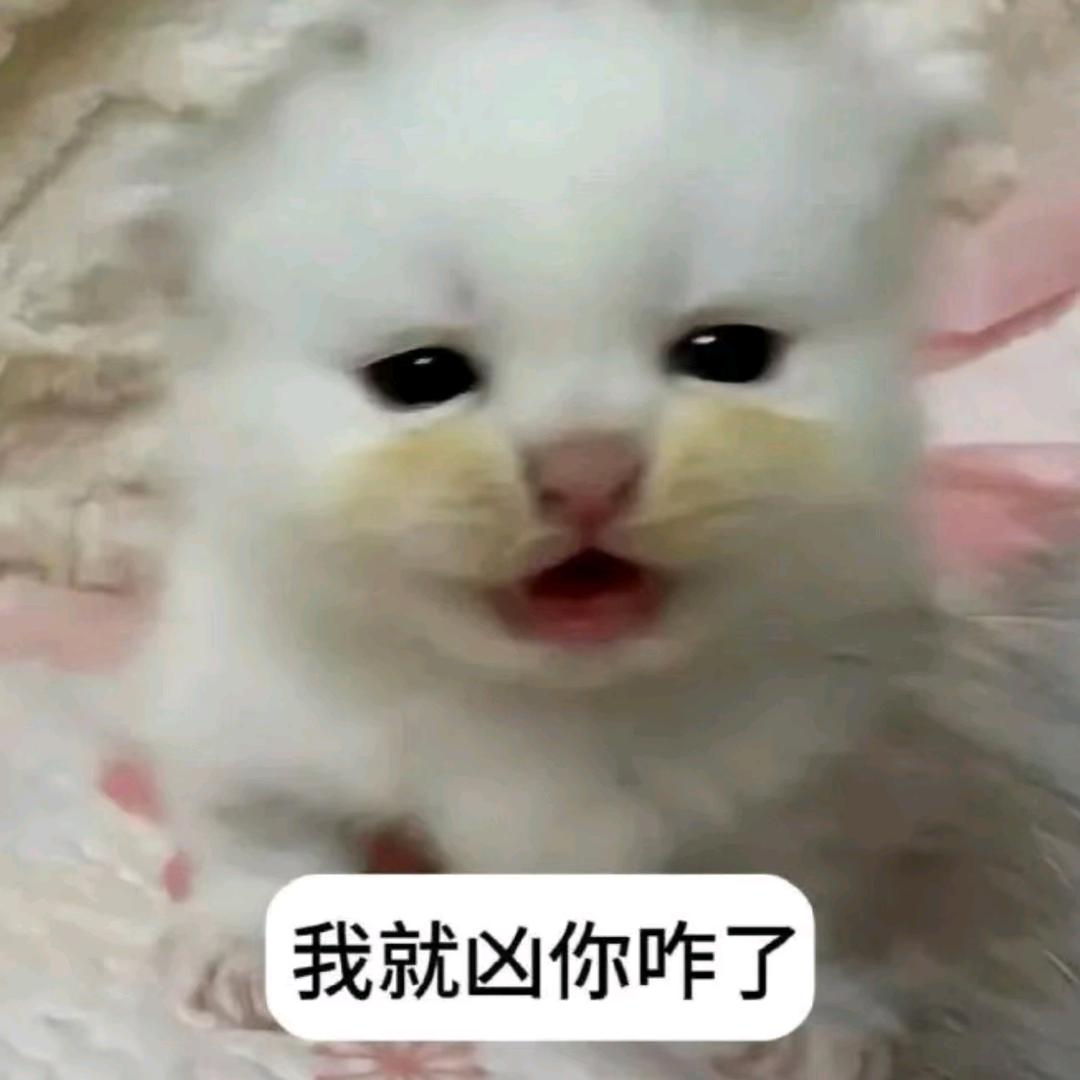 狐狸蛇