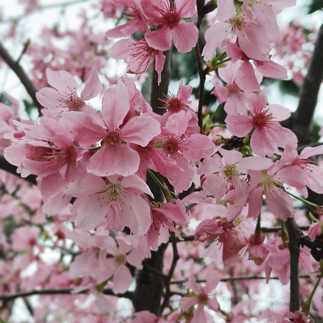 🦋ꦿ໊余生᭄🕊随心所欲᭄ꦿᩚ：🦋