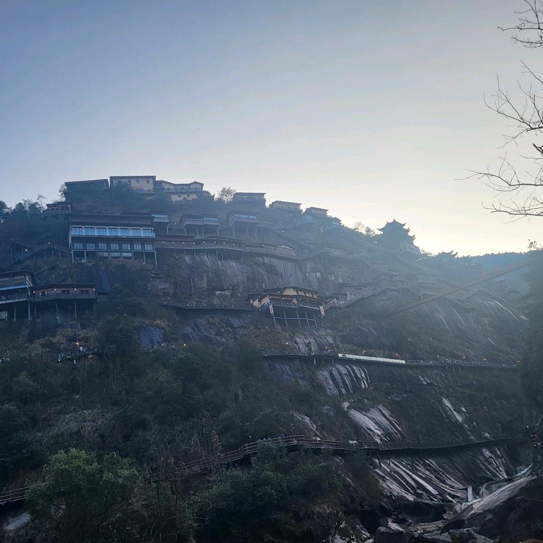 金歌